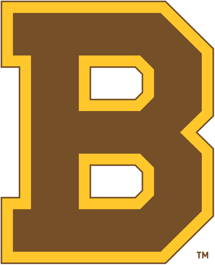 Boston Bruins 1932-1934 Primary Logo iron on heat transfer